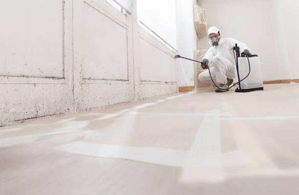 24/7 Emergency Attic Mold Remediation experts in Victoria, VA