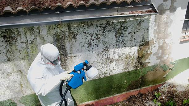Top rated local Attic Mold Remediation specialists in Victoria, VA